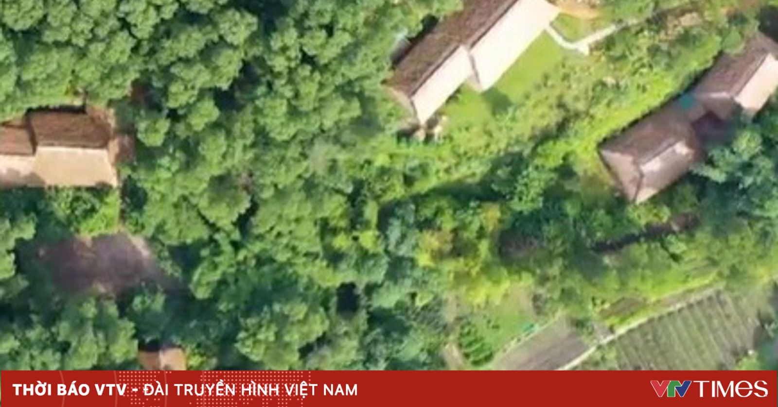 Khгўm Phгў Ngгґi Lг Ng Viб T Nam Lб ќt Top Nhб їng Ngгґi Lг Ng Tб T Nhбєґt Thбєї Giб I