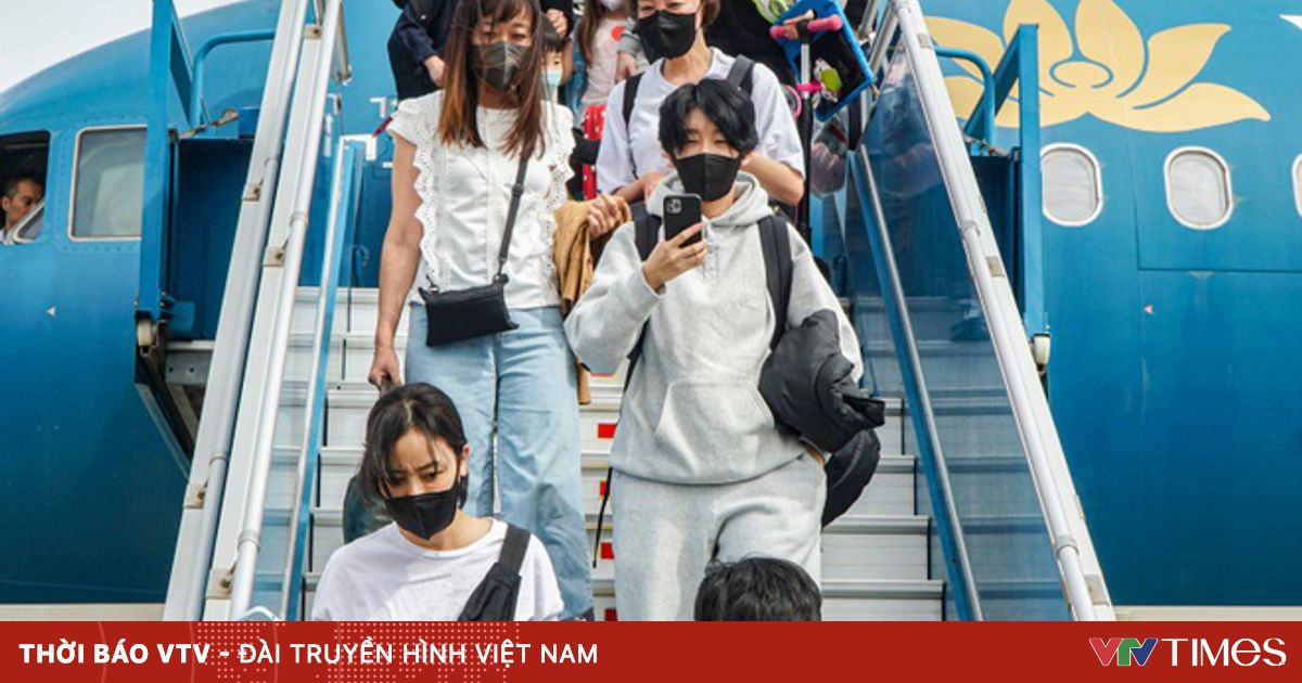 vtv.vn