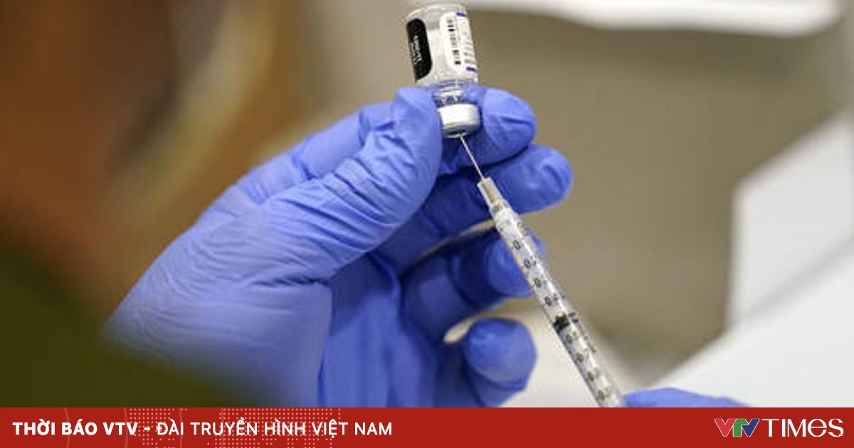 vtv.vn