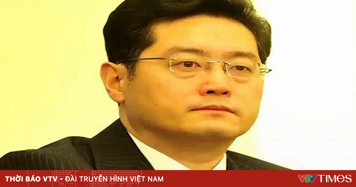 vtv.vn