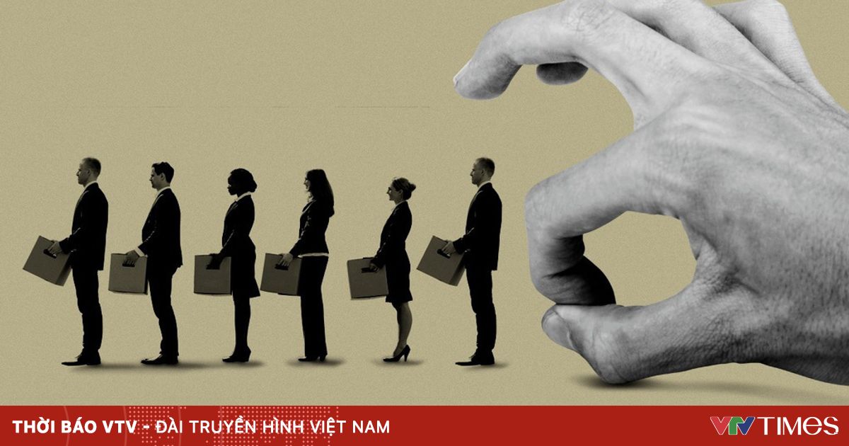 vtv.vn