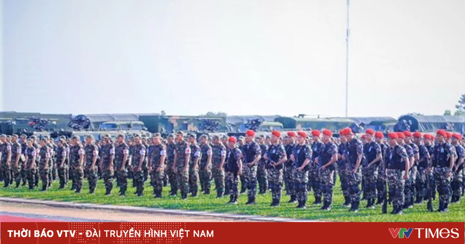 vtv.vn
