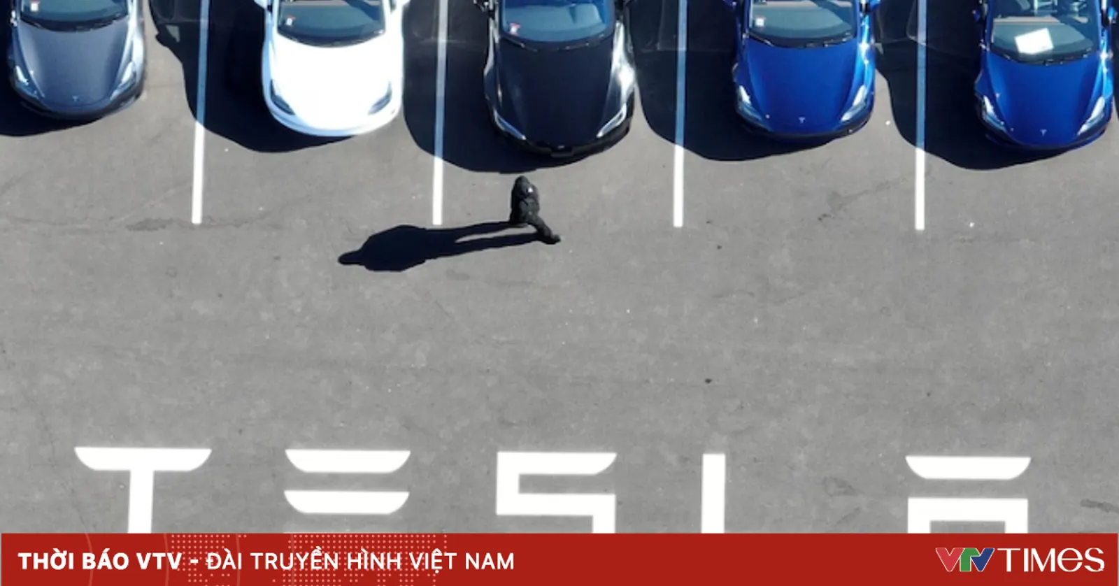 Tesla triệu hồi gần 55.000 xe Model X