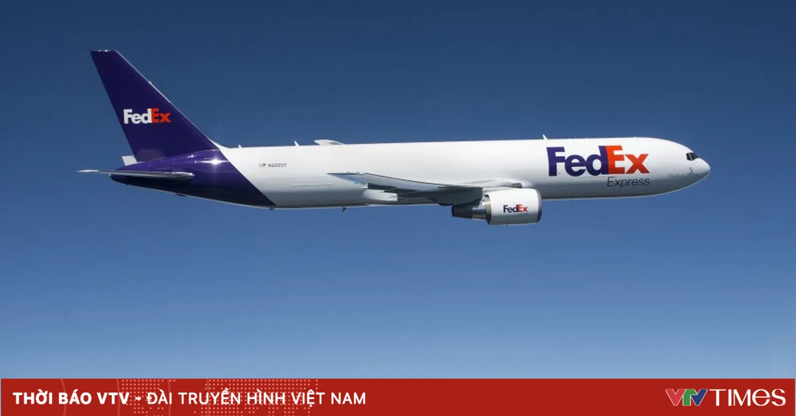 TP Hồ Chí Minh: FedEx ra mắt dịch vụ mới, rút ngắn thời gian vận chuyển ...