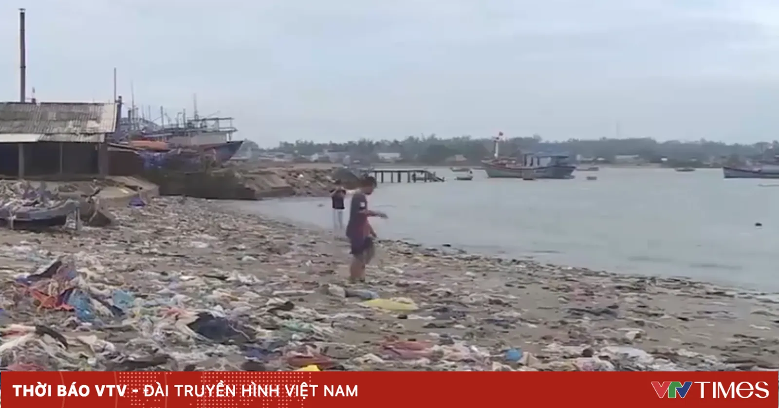 vtv.vn