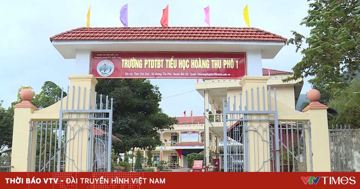 vtv.vn
