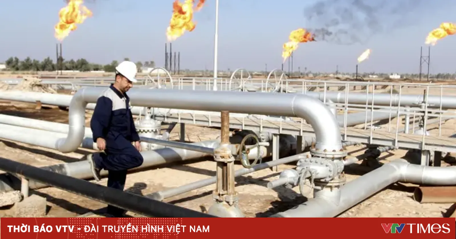 vtv.vn