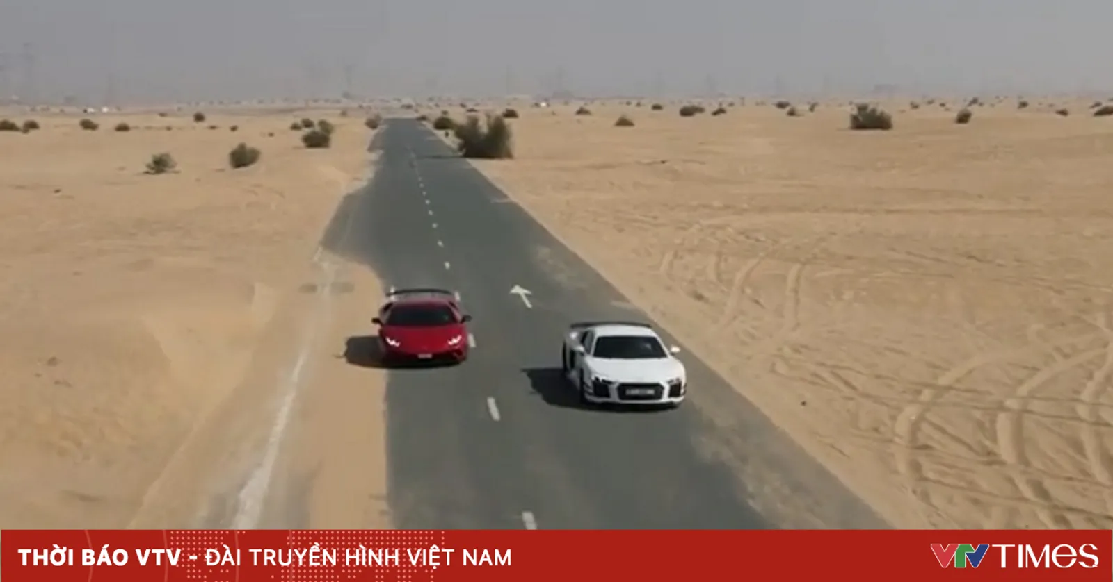 Hàng nghìn tấn cá được nuôi trồng trên sa mạc tại UAE
