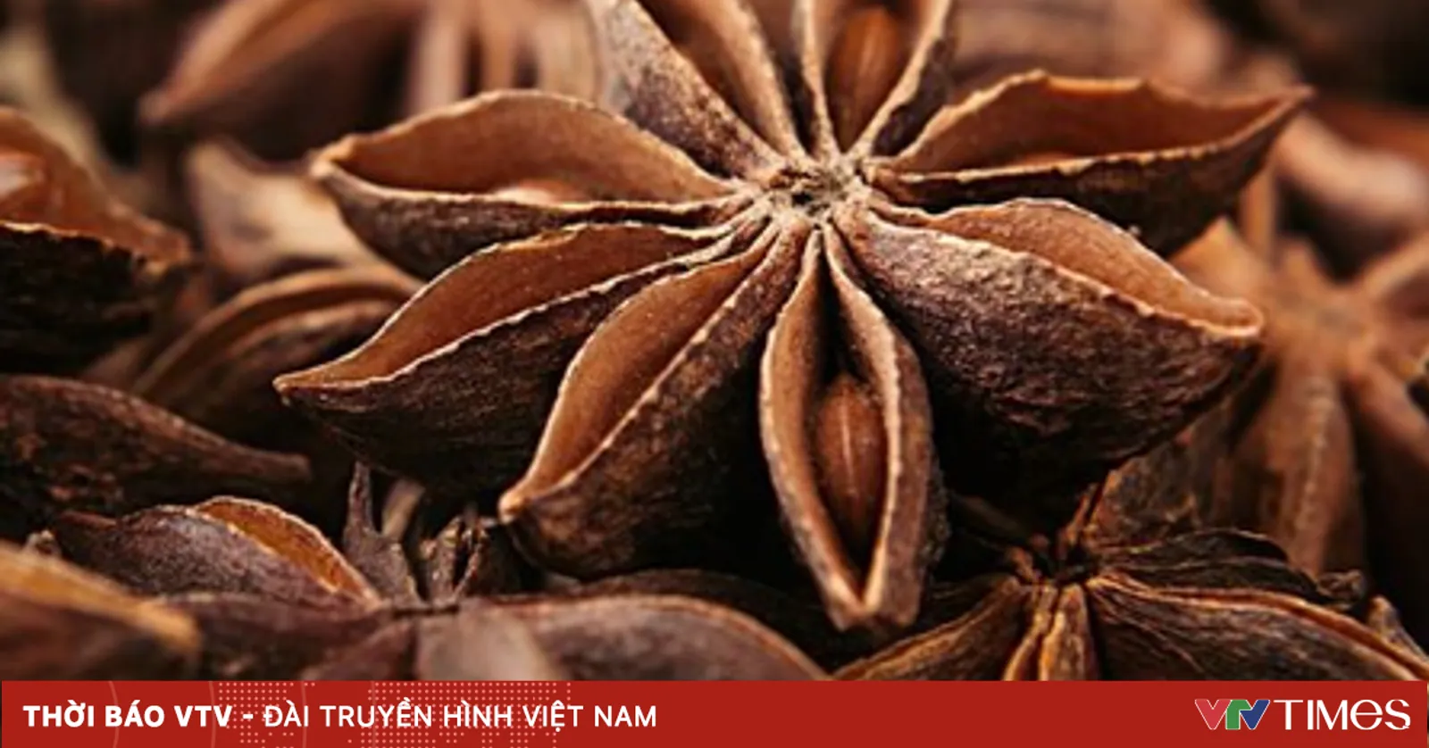Gia vị Việt được thế giới ưa chuộng