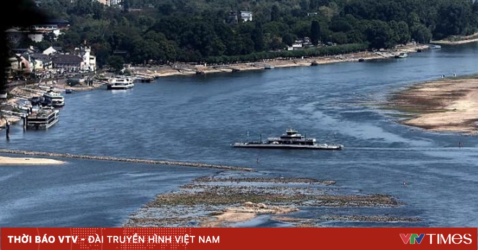 Sông Rhine cạn nước đe dọa kinh tế Đức