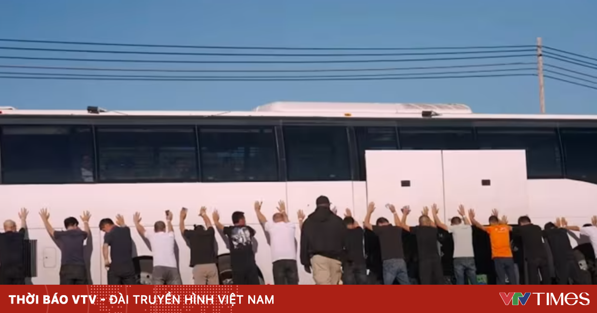 vtv.vn