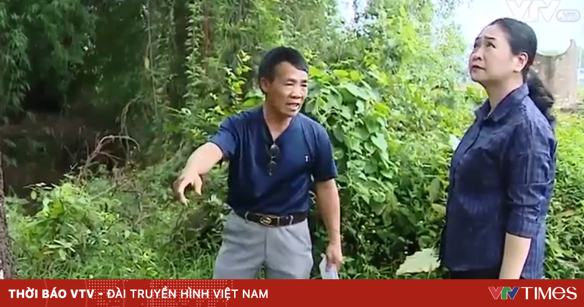 vtv.vn