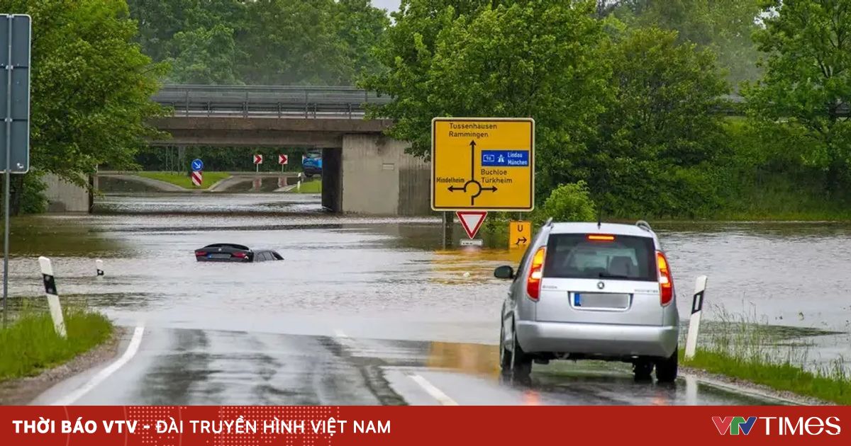 vtv.vn