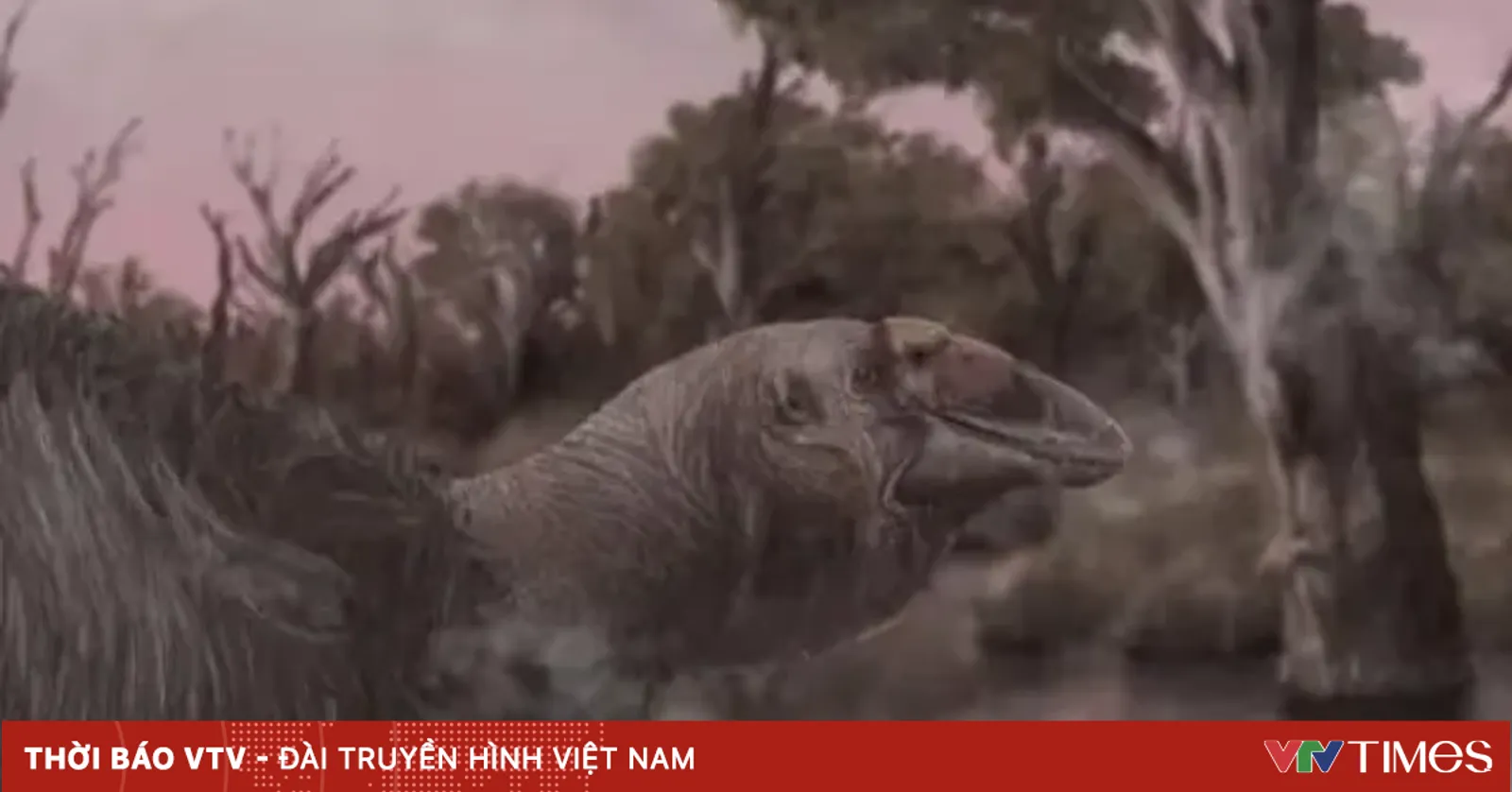 Phát hiện hộp sọ nguyên vẹn của loài chim sấm khổng lồ tuyệt chủng cách ...