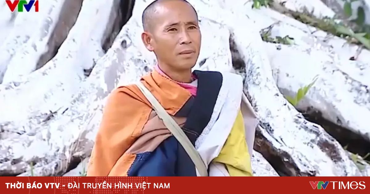 vtv.vn
