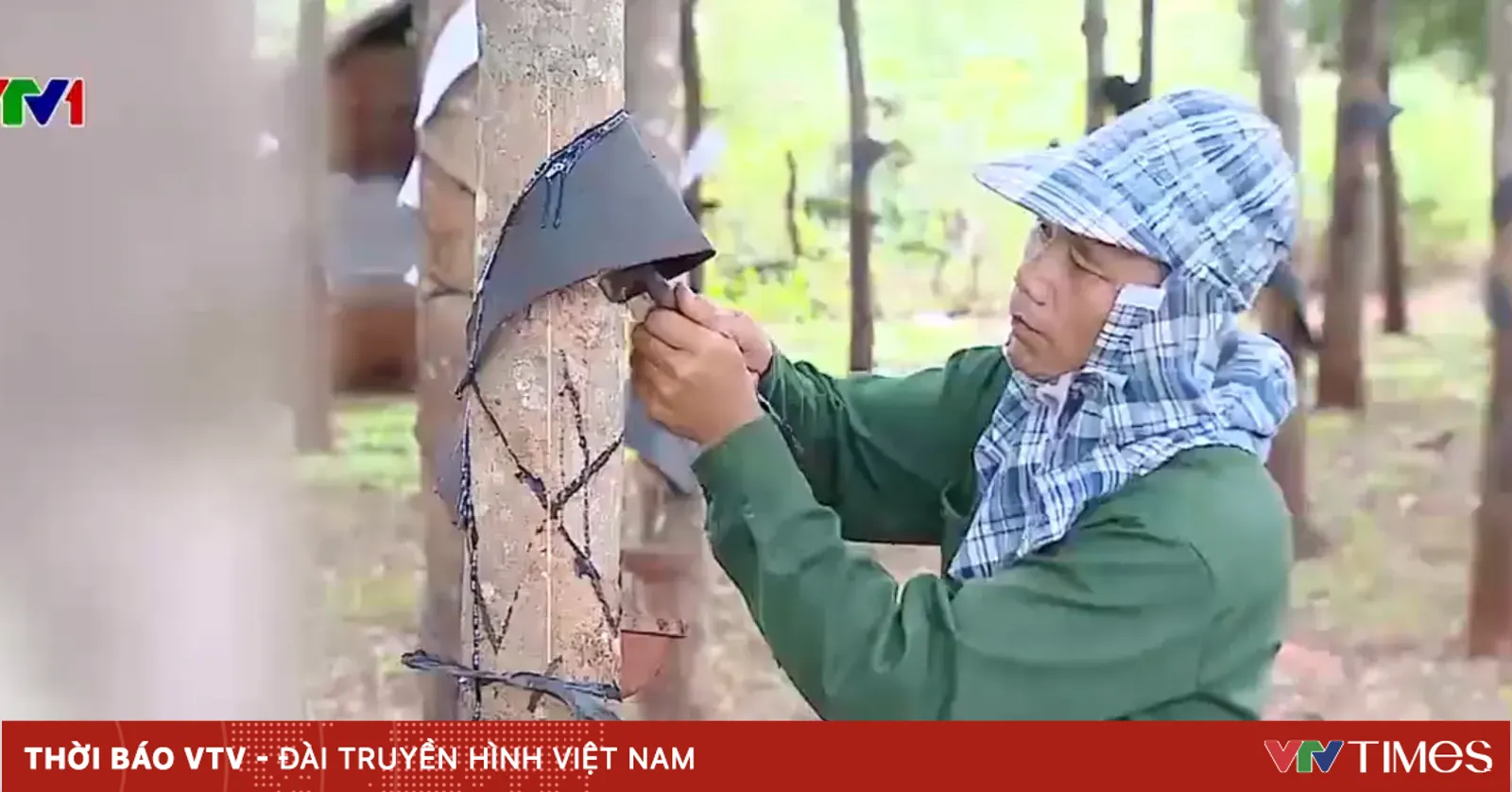 Sự trở về của những người dân lạc lối theo tổ chức lưu vong Fulro