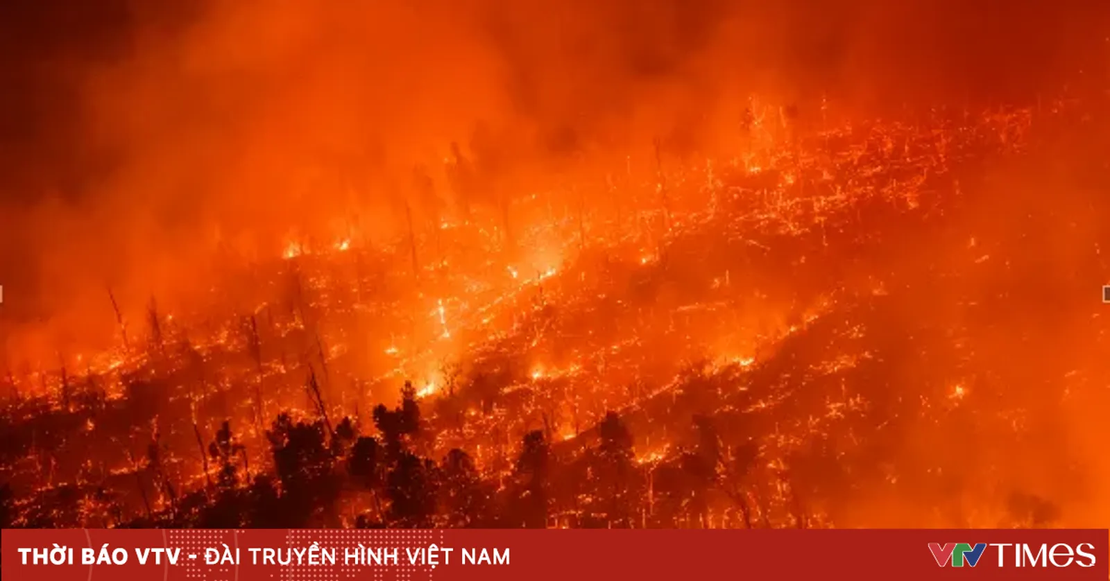 Trận cháy rừng Thompson ở Bắc California buộc hàng nghìn cư dân phải sơ tán