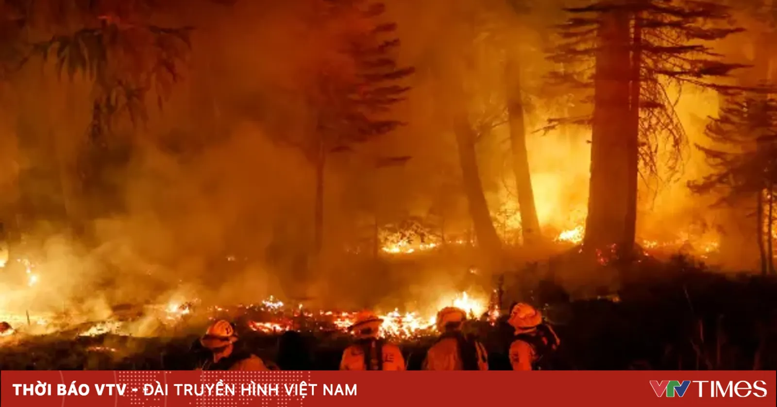 Lính cứu hỏa chiến đấu với đám cháy rừng lớn thứ 7 được ghi nhận ở ...