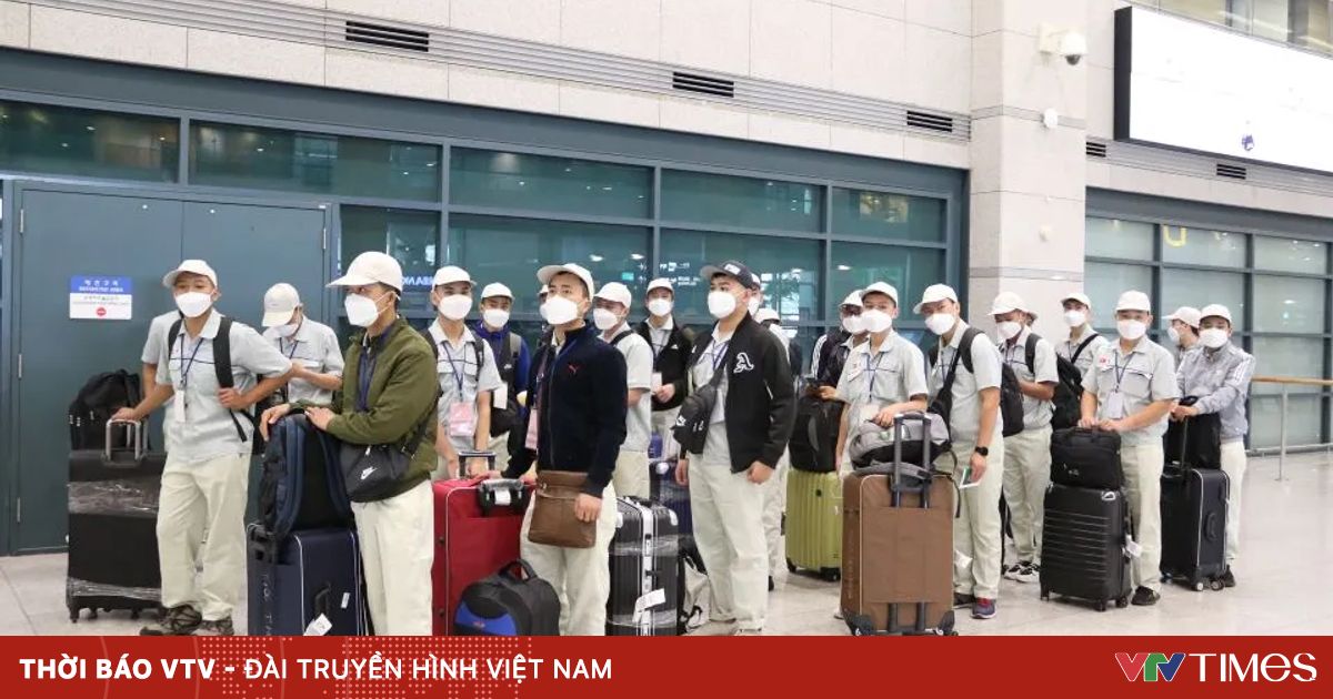 Cảnh báo lừa đảo xuất khẩu lao động, du lịch miễn thị thực