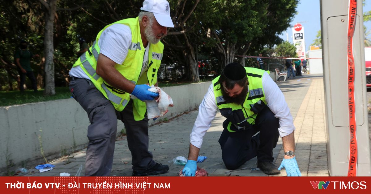 vtv.vn