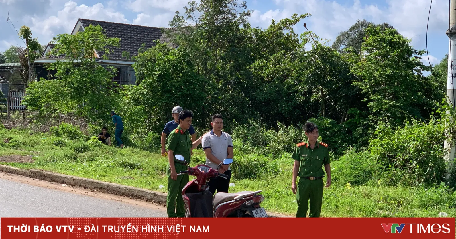 vtv.vn