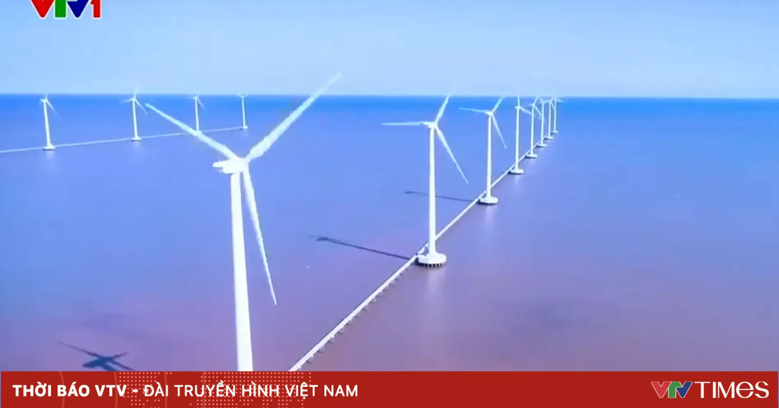 Khám phá cánh đồng điện gió Bạc Liêu