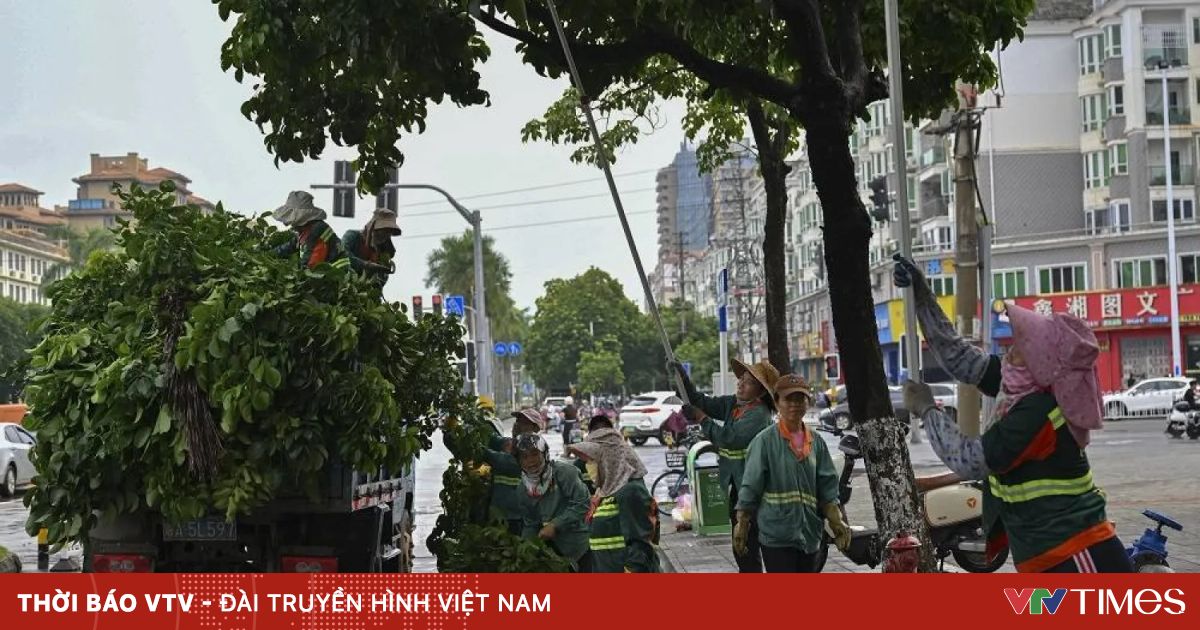 vtv.vn