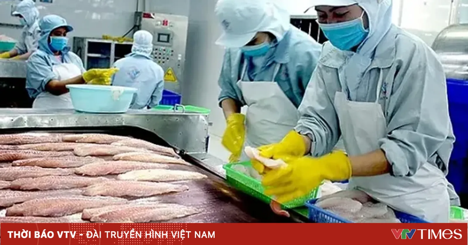 Việt Nam thu về gần 1,5 tỷ USD từ xuất khẩu cá tra