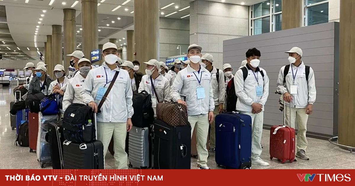 Nữ giám đốc lừa đảo xuất khẩu lao động, chiếm đoạt hơn 2,6 tỷ đồng