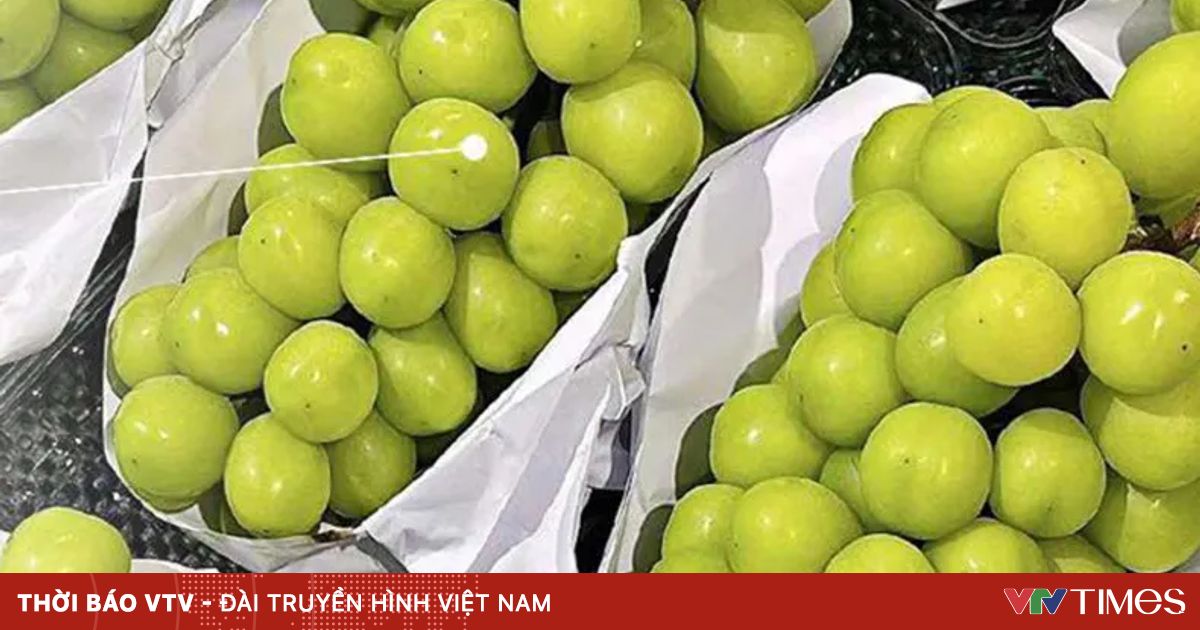 vtv.vn