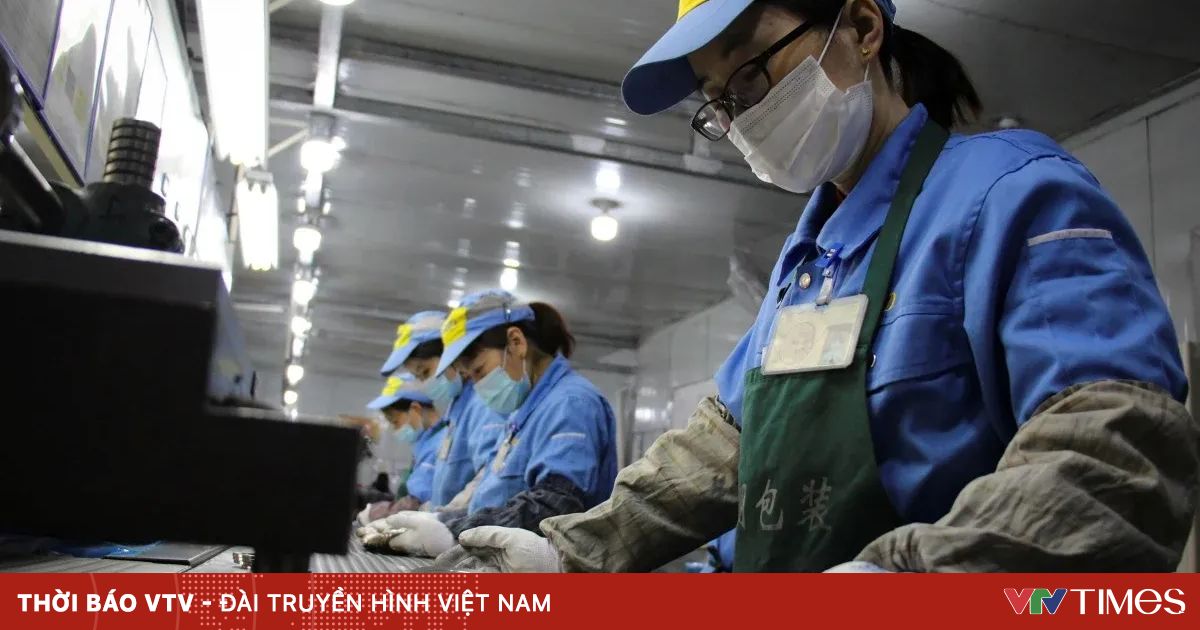 Trung Quốc cảnh báo lừa đảo xuất khẩu lao động xuyên biên giới