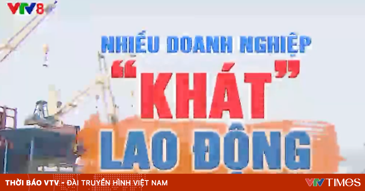 Nhiểu doanh nghiệp “khát” lao động