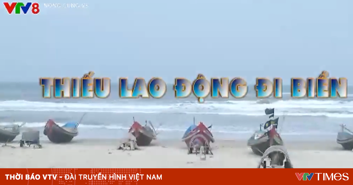 Thiếu lao động đi biển, tàu cá “nằm bờ”