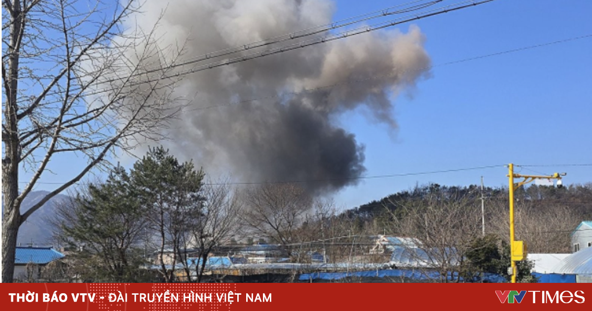 vtv.vn