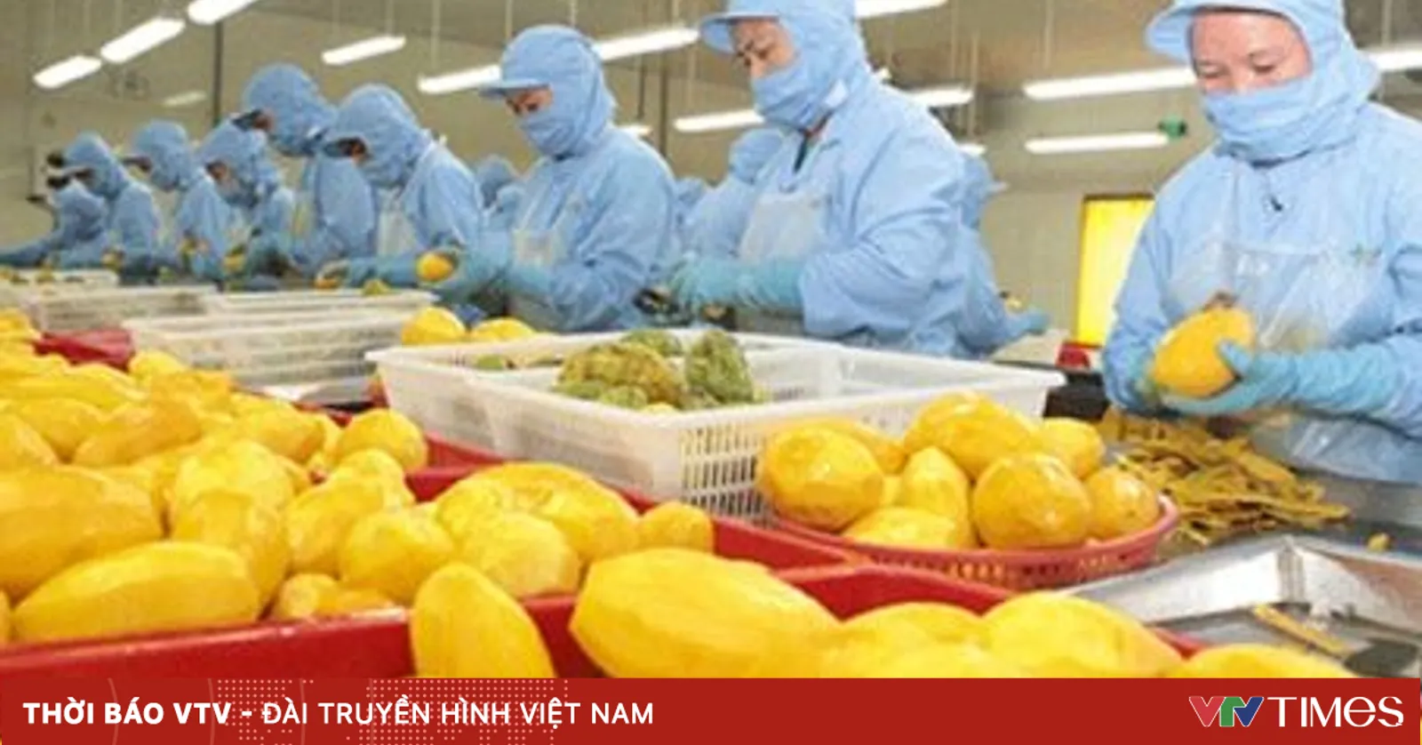 Mỹ là thị trường mua rau quả lớn thứ hai của Việt Nam