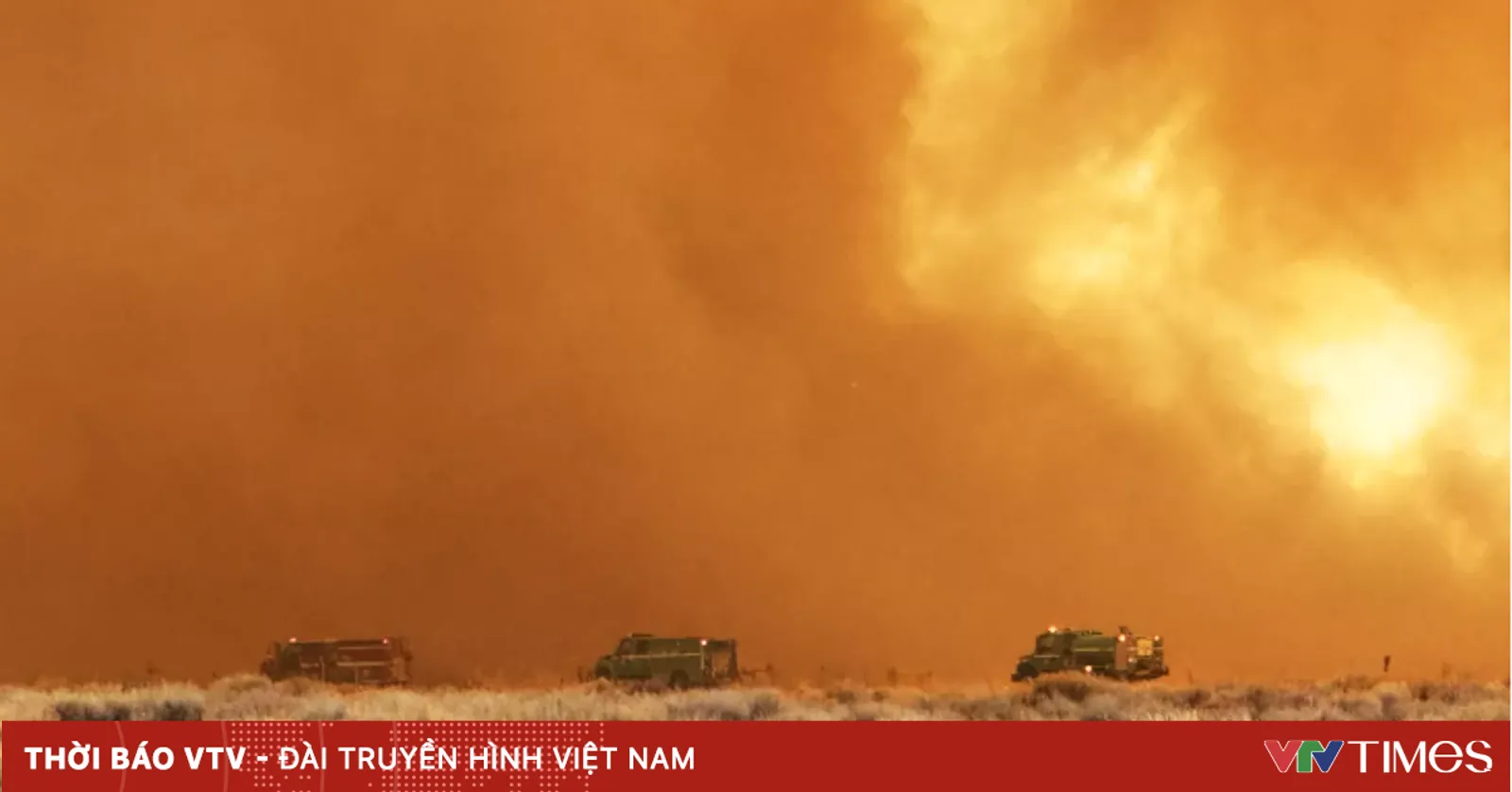 Cháy rừng lan rộng ở California, đe dọa các cây lâu đời nhất thế giới