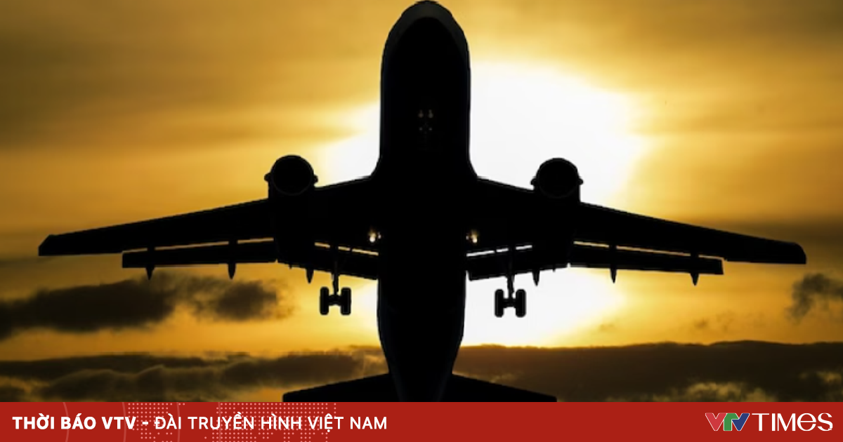 vtv.vn