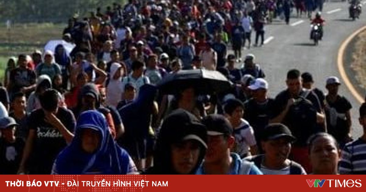 vtv.vn