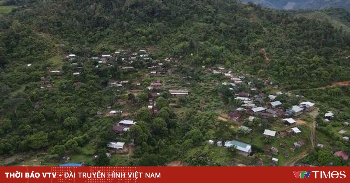 vtv.vn