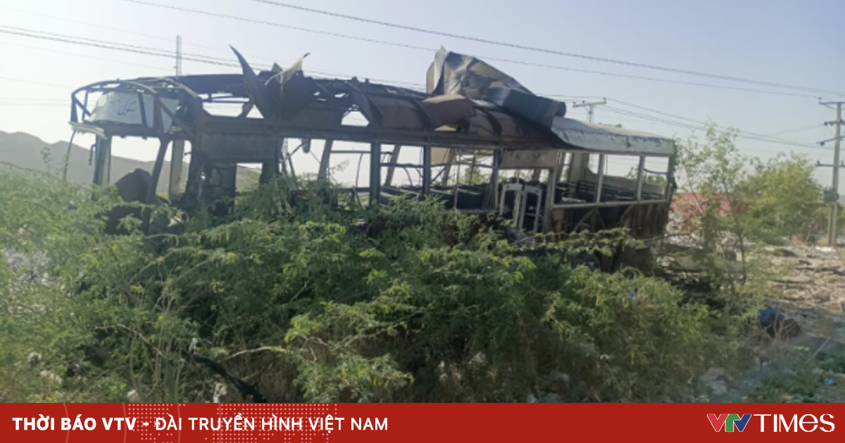 vtv.vn