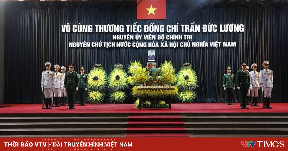 vtv.vn