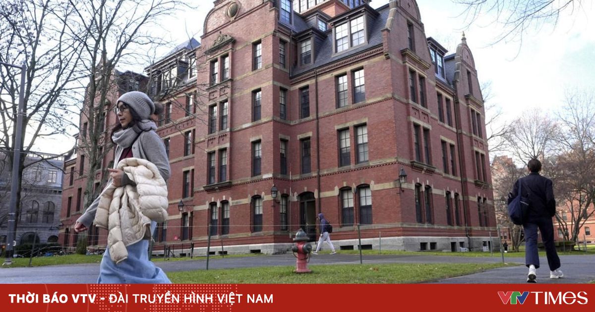 vtv.vn