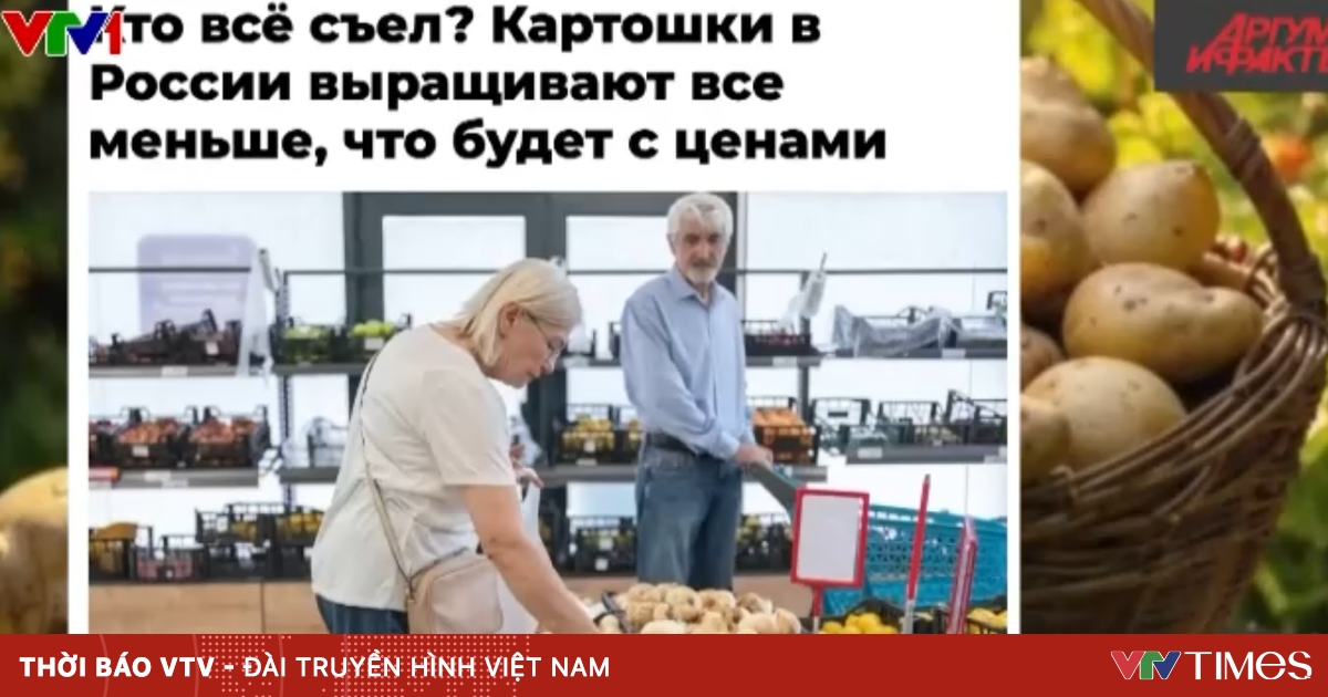 vtv.vn