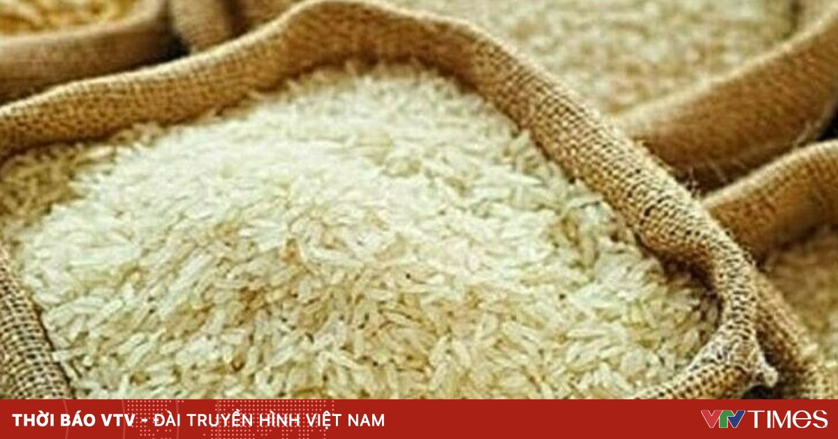 vtv.vn