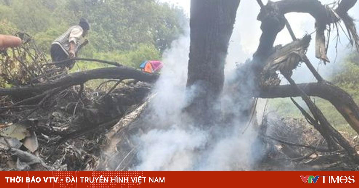 vtv.vn