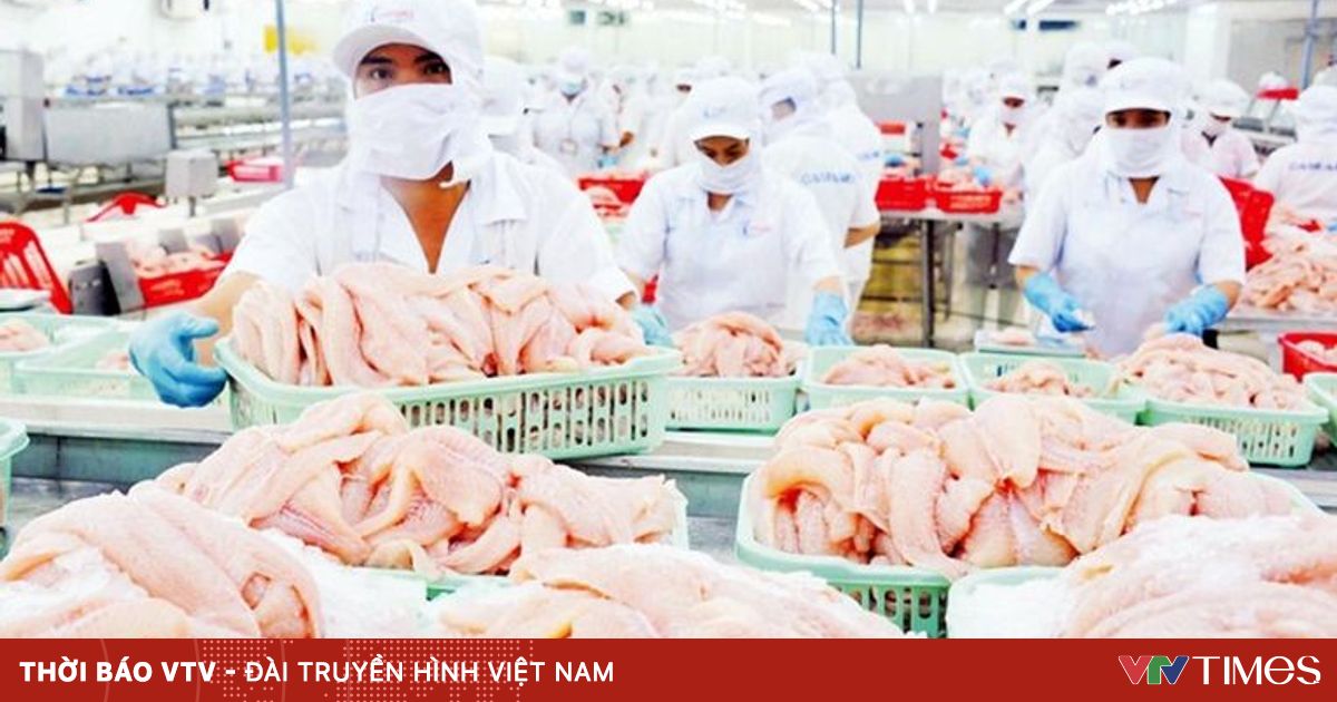 vtv.vn