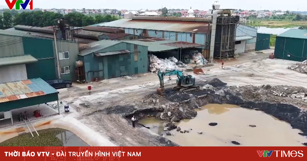 vtv.vn