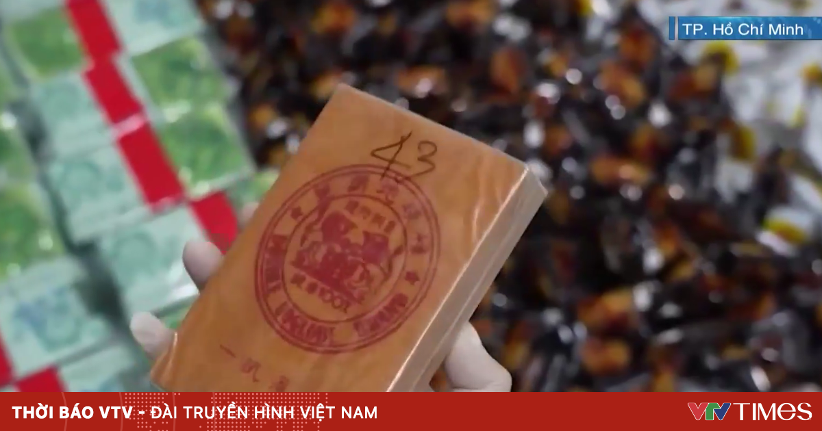 vtv.vn