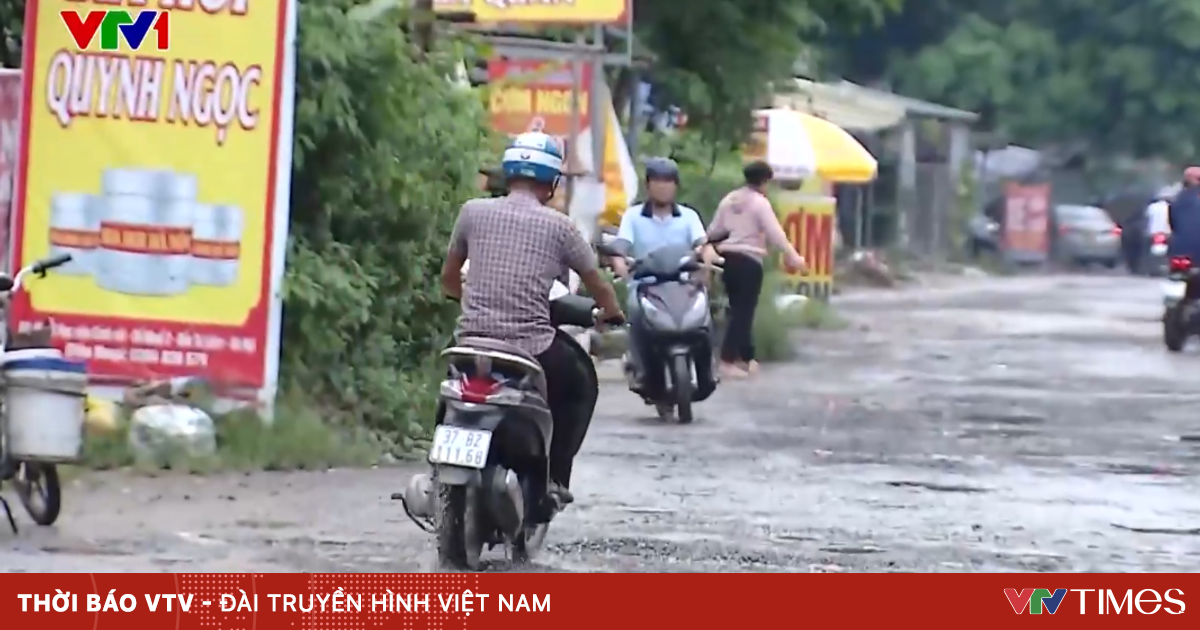 vtv.vn