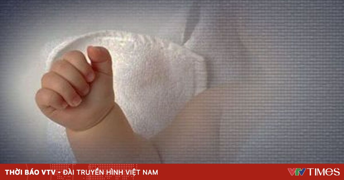 vtv.vn